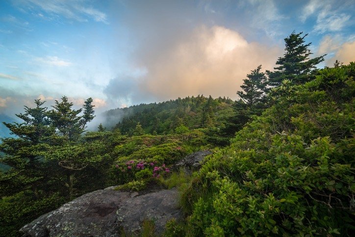 Long Trail Lodging Near Journey’s End