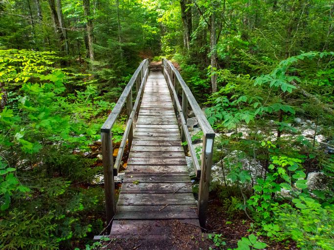 Long Trail VT Journey's End