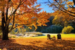 NEK Fall Foliage Accomodations