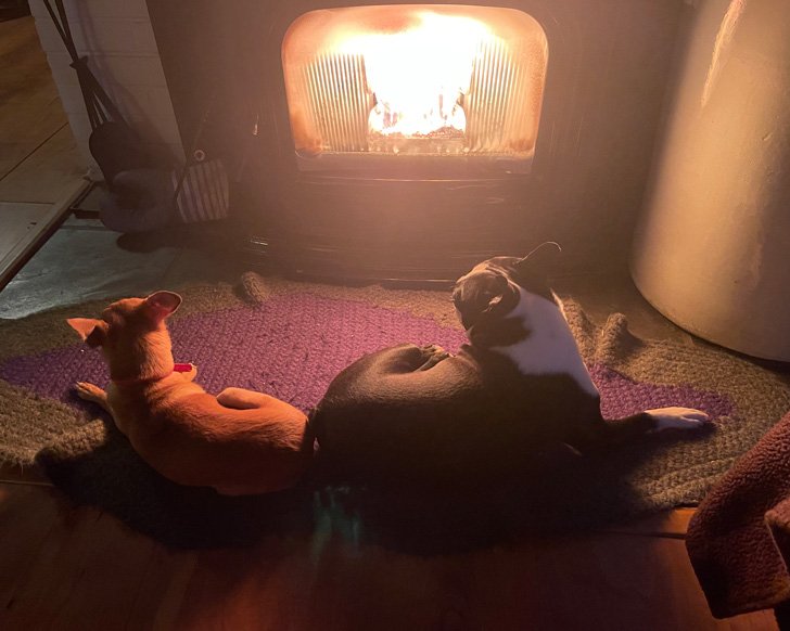 pet friendly lodging in north troy vt